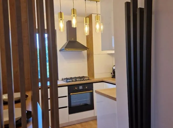 Savas King Apartment Brasov